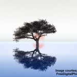 Serenity w credit