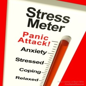 Stress Meter w credit w credit
